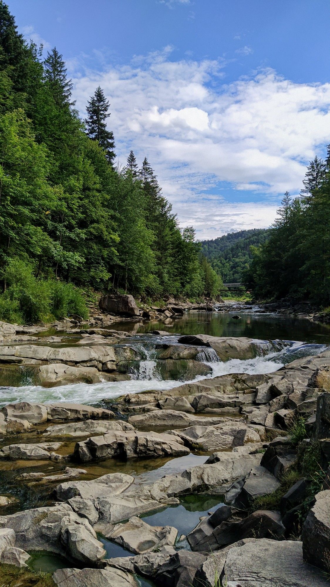 Карпатська річка серед лісу та кам’янистих берегів